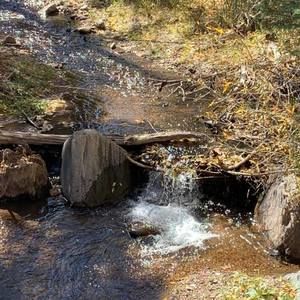 Meet your Posher, Pamela